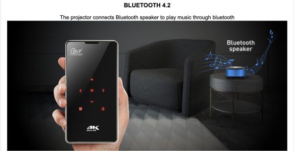 real-p9-mini (1)